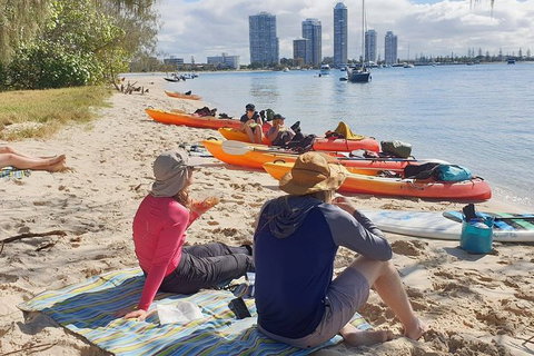 Half-Day Kayak, SUP And Snorkel Tour At Wave Break Island With Lunch - Kawana Tourism 6