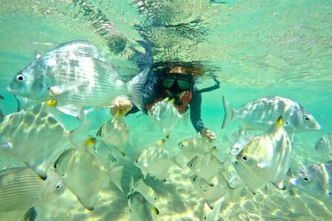 Half-Day Kayak, SUP And Snorkel Tour At Wave Break Island With Lunch - Kawana Tourism 9