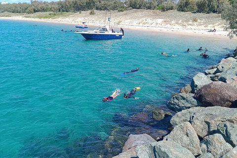 Half-Day Kayak, SUP And Snorkel Tour At Wave Break Island With Lunch - Kawana Tourism 3