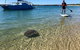 Half-Day Kayak, SUP And Snorkel Tour At Wave Break Island With Lunch - thumb 2