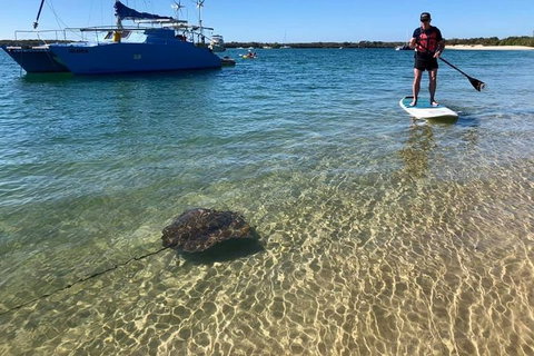 Half-Day Kayak, SUP And Snorkel Tour At Wave Break Island With Lunch - Kawana Tourism 2