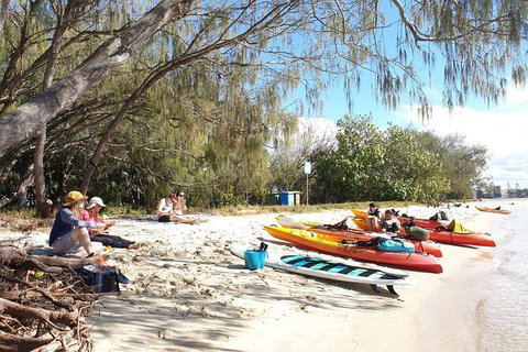 Half-Day Kayak, SUP And Snorkel Tour At Wave Break Island With Lunch - Kawana Tourism 8