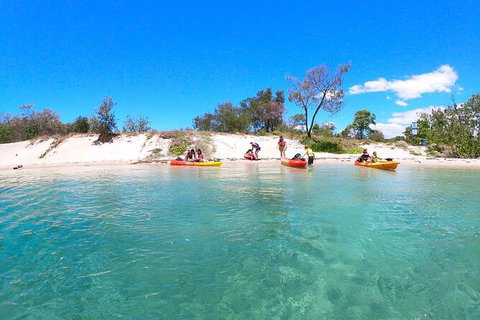 Half-Day Kayak, SUP And Snorkel Tour At Wave Break Island With Lunch - Kawana Tourism 4