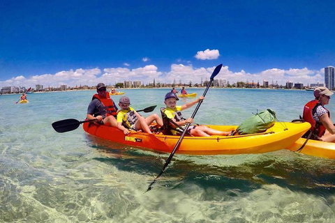 Half-Day Kayak, SUP And Snorkel Tour At Wave Break Island With Lunch - Kawana Tourism 5