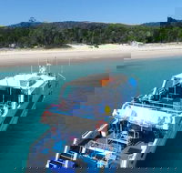Cruise in Moreton Bay Marine Park and Moreton Island - Kawana Tourism