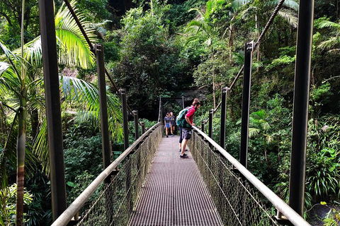 Private Tour - Kawana Tourism 8