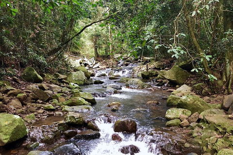 Private Tour - Kawana Tourism 13