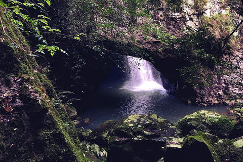 Private Tour - Kawana Tourism 6