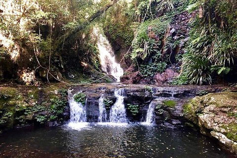 Private Tour - Kawana Tourism 3