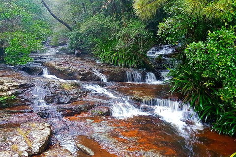 Private Tour - Kawana Tourism 2