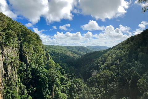 Private Tour - Kawana Tourism 1
