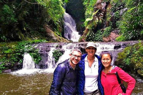 Private Tour - Kawana Tourism 0