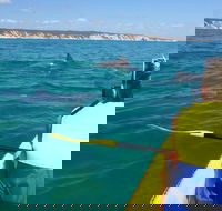 Kayak with Dolphins and 4WD Great Beach Drive Day Trip from Noosa - Kawana Tourism