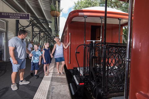 Mary Valley Rattler - Kawana Tourism 2