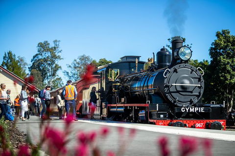 Mary Valley Rattler - Kawana Tourism 5