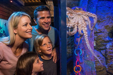SEA LIFE Sunshine Coast Aquarium Entrance Ticket - Kawana Tourism 5