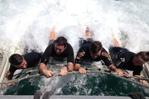 Eco Marine Safari - Boom Netting & Snorkeling Moreton Island - Roma St Transfers - Kawana Tourism 9