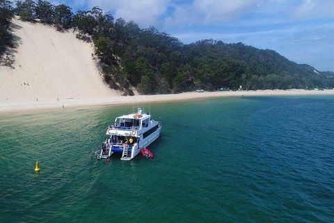 Eco Marine Safari - Boom Netting & Snorkeling Moreton Island - Roma St Transfers - Kawana Tourism 0
