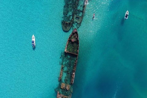 Eco Marine Safari - Boom Netting & Snorkeling Moreton Island - Roma St Transfers - Kawana Tourism 4