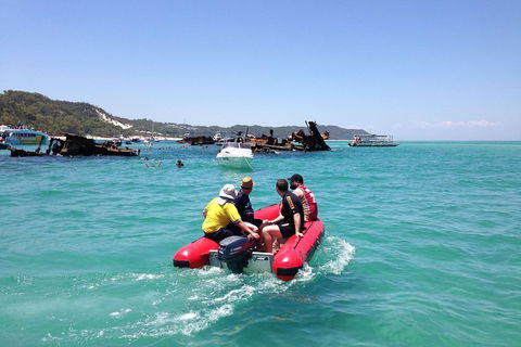 Eco Marine Safari - Boom Netting & Snorkeling Moreton Island - Roma St Transfers - Kawana Tourism 1