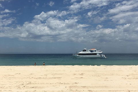 Eco Marine Safari - Boom Netting & Snorkeling Moreton Island - Roma St Transfers - Kawana Tourism 5