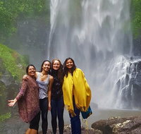 Small Group Tour Max 6 Gold Coast Super 7 Waterfalls Tour Springbrook - Kawana Tourism