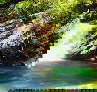 Wooroonooran National Park Rainforest and Wildlife Day Trip from Cairns - Kawana Tourism