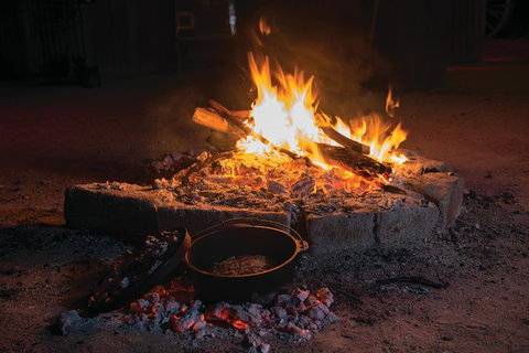 Starlights Cruise Experience - Kawana Tourism 7