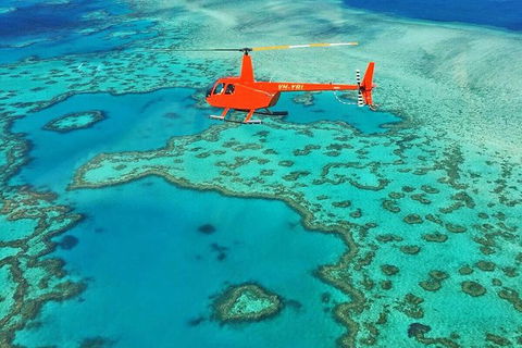 Reef & Whitehaven Landing - Kawana Tourism 5