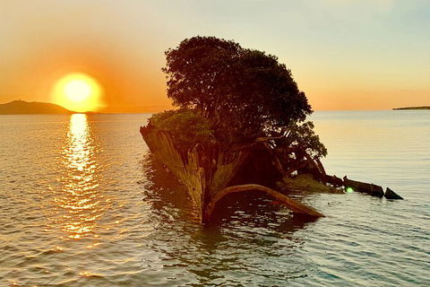 Aquascene Magnetic Island Sunset & Shipwreck Tour - Kawana Tourism 3