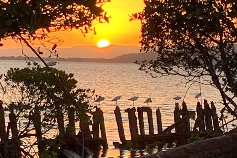Aquascene Magnetic Island Sunset & Shipwreck Tour - Kawana Tourism 2