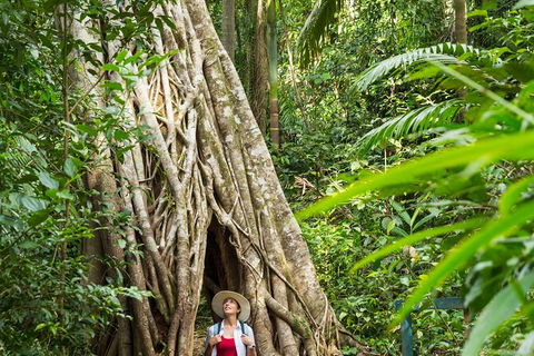 Rainforest To Reef Experience - Reef And Beyond Guided Holidays - Kawana Tourism 2