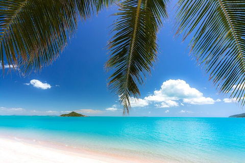 Rainforest To Reef Experience - Reef And Beyond Guided Holidays - Kawana Tourism 1