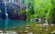 Rainforest To Reef Experience - Reef And Beyond Guided Holidays - thumb 5
