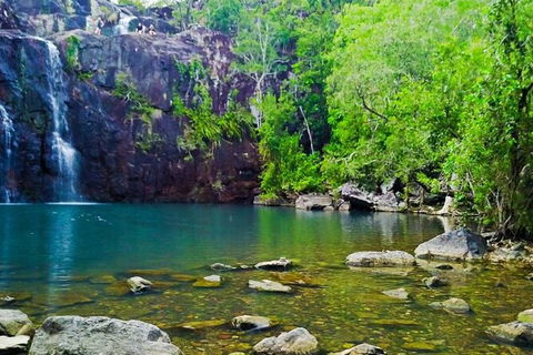 Rainforest To Reef Experience - Reef And Beyond Guided Holidays - Kawana Tourism 5