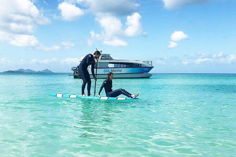 Rainforest To Reef Experience - Reef And Beyond Guided Holidays - Kawana Tourism 3