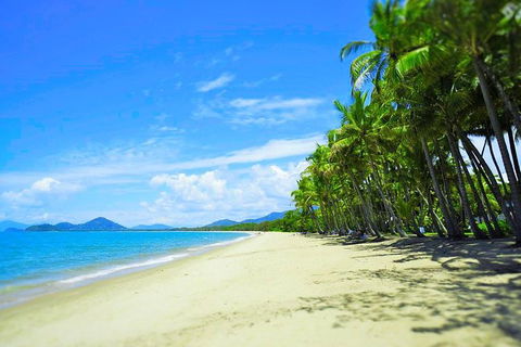 Airport Transfer - Palm Cove, Kewarra Beach & Trinity Beach To Cairns Airport - Kawana Tourism 2