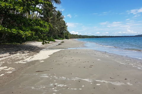 Private Transfers - Cairns Airport To Palm Cove - Kawana Tourism 1