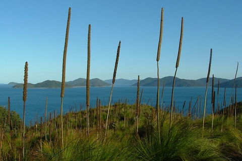 7-Day Private Sea Kayaking In Whitsundays - Kawana Tourism 8