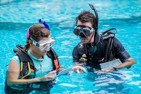PADI Diving Courses On The Gold Coast - Kawana Tourism 0