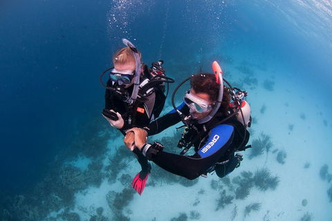 PADI Diving Courses On The Gold Coast - Kawana Tourism 5