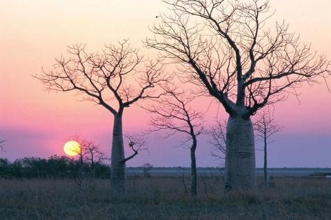 8-Day Outback Experience From Queensland - Kawana Tourism 0