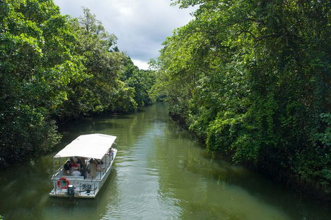 World Heritage Highlights: Reef/Daintree/Cape Tribulation - Kawana Tourism 1