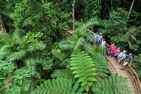 World Heritage Highlights: Reef/Daintree/Cape Tribulation - Kawana Tourism 3