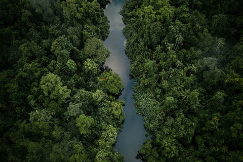 World Heritage Highlights: Reef/Daintree/Cape Tribulation - Kawana Tourism 10