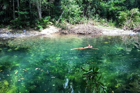 World Heritage Highlights: Reef/Daintree/Cape Tribulation - Kawana Tourism 4