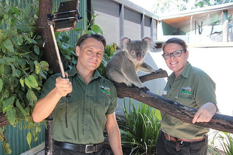 Virtual Interactive Australian Wildlife Tour With Private Guide-Wildlife Habitat - Kawana Tourism 4