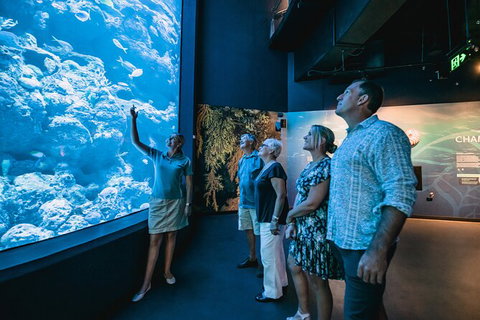Cairns Aquarium By Twilight With 3 Course Dinner - Kawana Tourism 0
