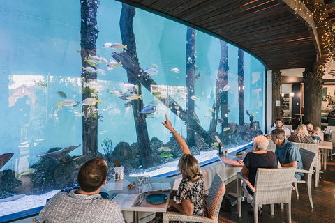 Cairns Aquarium By Twilight With 3 Course Dinner - Kawana Tourism 1