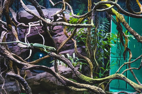 Cairns Aquarium By Twilight With 3 Course Dinner - Kawana Tourism 8